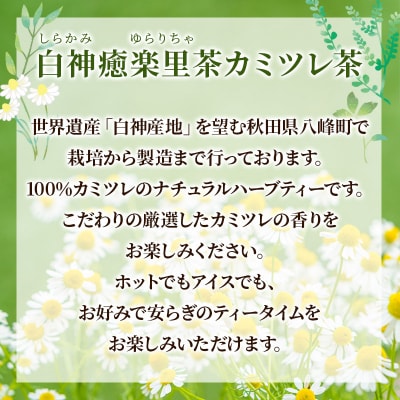 ハーブティ白神癒楽里茶カミツレ茶(5パック入り)×5袋 秋田県 八峰町|16_hth-070501