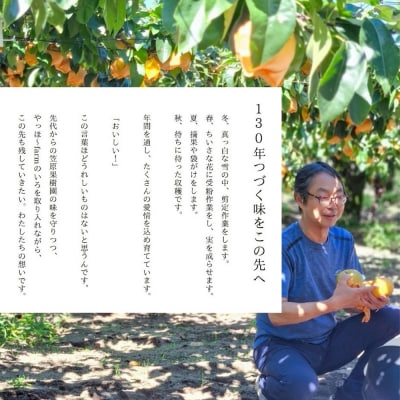 梨 ジュース やっほ～farm なしのジュース720ml 2本セット|16_yhf-030201