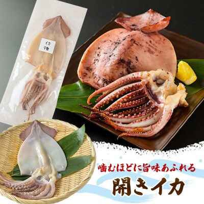 人気干物 3種×各4枚セット 計12枚)|16_szk-171001