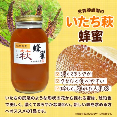 はちみつ いたち萩蜂蜜 国産 1200g×1本 秋田県産100%|16_ynm-051201
