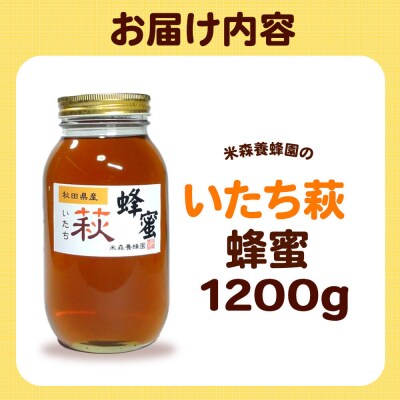 はちみつ いたち萩蜂蜜 国産 1200g×1本 秋田県産100%|16_ynm-051201