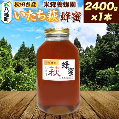 はちみつ いたち萩蜂蜜 国産 2400g×1本 秋田県産100%|16_ynm-052401