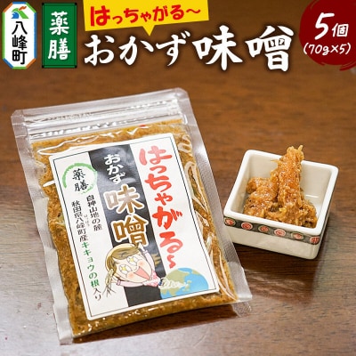 おかず味噌 はっちゃがる 70g×5個|16_nhm-010501