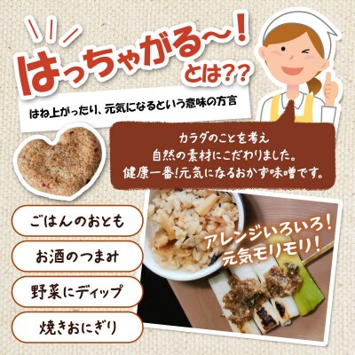 おかず味噌 はっちゃがる 70g×5個|16_nhm-010501