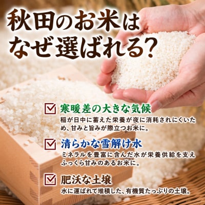 新米 令和8年産 あきたこまち【白米】10kg 秋田県八峰町産|16_msf-011001