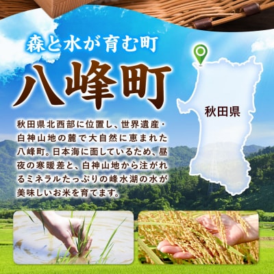 新米 令和8年産 あきたこまち【白米】10kg 秋田県八峰町産|16_msf-011001