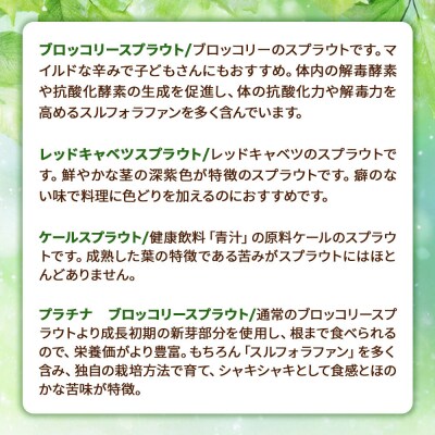 スプラウト 5種 詰め合わせ 計11個【白神山系　超軟水仕込み】|16_mtn-010101
