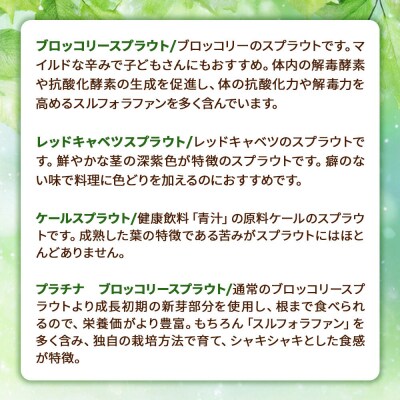 スプラウト 5種 詰め合わせ 計11個【白神山系　超軟水仕込み】|16_mtn-010101