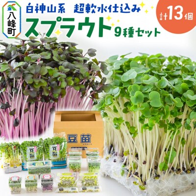 スプラウト、かいわれ等9種セット【白神山系　超軟水仕込み】　計13個|16_mtn-030101