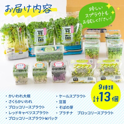 スプラウト、かいわれ等9種セット【白神山系　超軟水仕込み】　計13個|16_mtn-030101