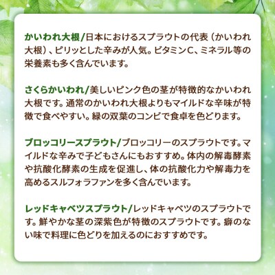 スプラウト、かいわれ等9種セット【白神山系　超軟水仕込み】　計13個|16_mtn-030101