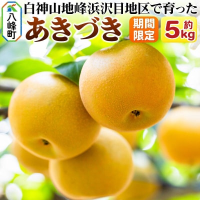 ～期間限定～白神山地峰浜沢目地区 和梨「あきづき」約5kg|16_orh-090501