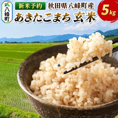 ＜令和8年産 新米予約＞【玄米】八峰町産 あきたこまち 5kg|16_msf-020501s