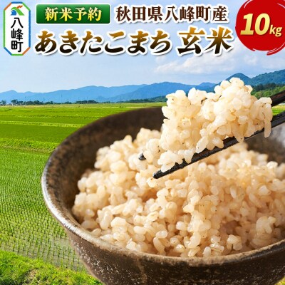 ＜令和8年産 新米予約＞【玄米】八峰町産 あきたこまち 10kg|16_msf-021001s