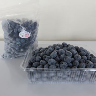  びえいハスカップファーム　美瑛産冷凍ブルーベリー1kg