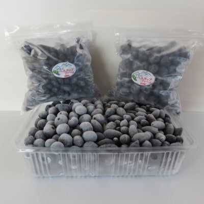びえいハスカップファーム　美瑛産冷凍ハスカップ 500g・冷凍 ブルーベリー 500g