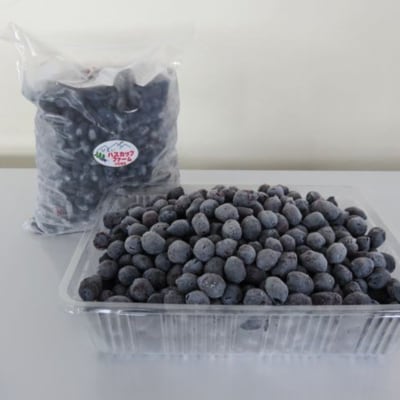 びえいハスカップファーム　美瑛産冷凍ハスカップ1kg