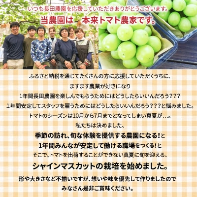 皆さんの応援で実った シャインマスカット 約1.2kg(2房) H004-151