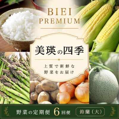 【令和9年産 先行予約】野菜 定期便 6回便 美瑛の四季～鈴蘭(大)～ 