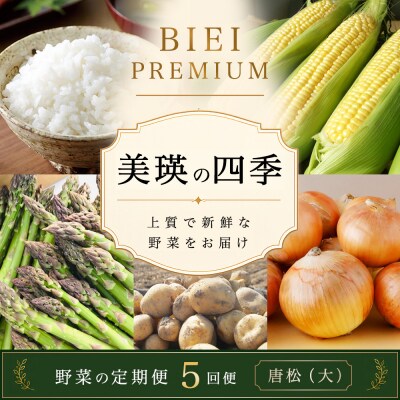 【令和9年産 先行予約】野菜 定期便 5回便 美瑛の四季～唐松(大)～