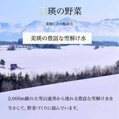 【令和9年産 先行予約】野菜 定期便 5回便 美瑛の四季～唐松(大)～