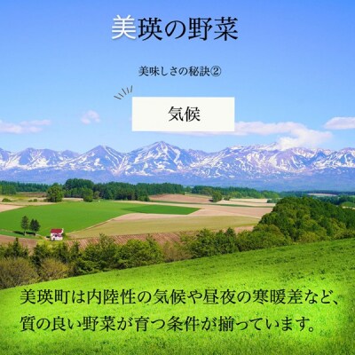 【令和9年産 先行予約】野菜 定期便 5回便 美瑛の四季～唐松(大)～