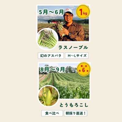 野菜の定期便【白樺】4回便【令和8年産先行受付!】 美瑛の四季