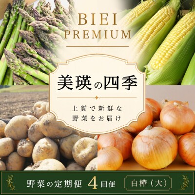 【令和9年産 先行予約】野菜 定期便 4回便 美瑛の四季～白樺(大)～