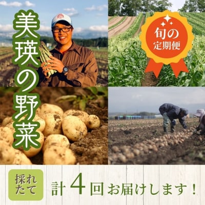野菜の定期便【白樺(大)】4回便【令和8年産先行受付!】 美瑛の四季