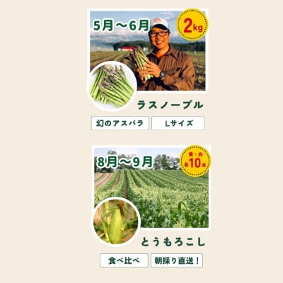 野菜の定期便【白樺(大)】4回便【令和8年産先行受付!】 美瑛の四季