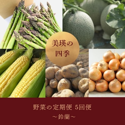 【令和8年産先行受付!】～美瑛の四季～ 野菜の定期便【鈴蘭】5回便