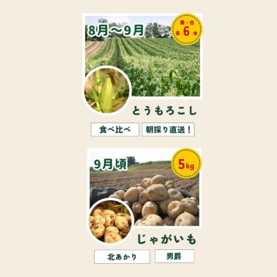 【令和8年産先行受付!】～美瑛の四季～ 野菜の定期便【鈴蘭】5回便