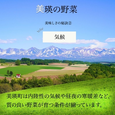 【令和9年産 先行予約】野菜 定期便 6回便 美瑛の四季～鈴蘭(小)～