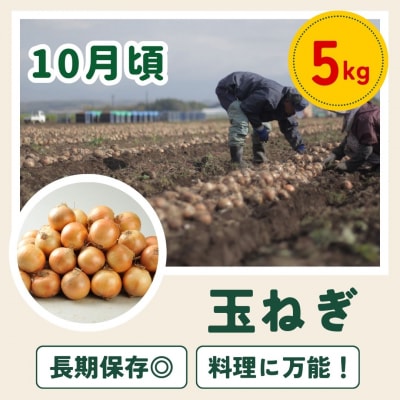 【令和8年産先行受付!】～美瑛の四季～ 野菜の定期便【鈴蘭】5回便