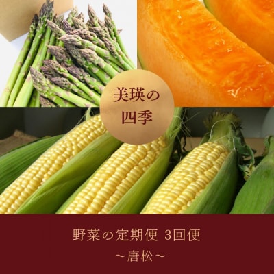 【令和8年産先行受付!】～美瑛の四季～ 野菜の定期便【唐松】3回便