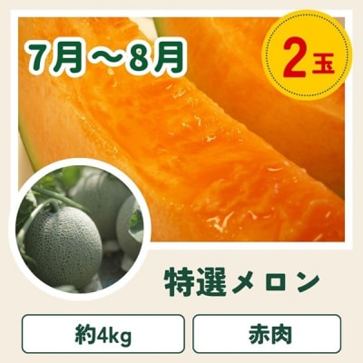 【令和8年産先行受付!】～美瑛の四季～ 野菜の定期便【唐松】3回便