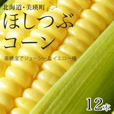 とうもろこし 12本【令和8年産先行受付】黒木農場 (ほしつぶコーン) [011-56] 