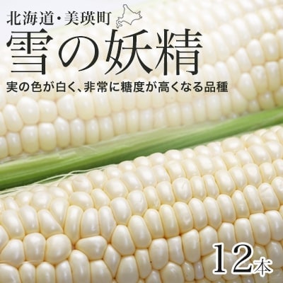 【令和8年産先行受付!】とうもろこし(雪の妖精)12本 [011-57]