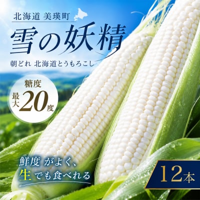 とうもろこし 雪の妖精 12本 北海道 令和9年産先行予約