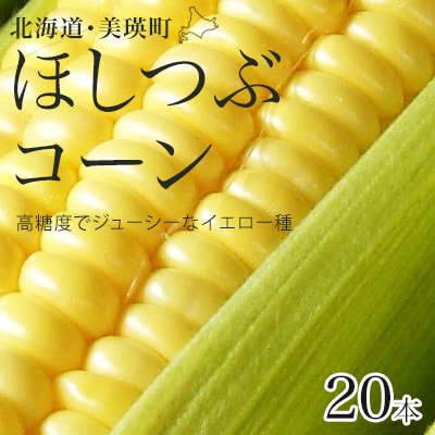 【令和8年産先行受付!】とうもろこし(ほしつぶコーン)20本[016-90]