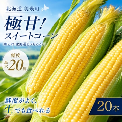 【令和9年産先行受付!】とうもろこし (ほしつぶコーン) 20本 黄色