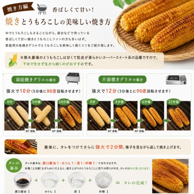 【令和9年産先行受付!】とうもろこし (ほしつぶコーン) 20本 黄色
