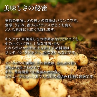 じゃがいも 3種セット【令和8年産先行受付】黒木農場 [011-61]