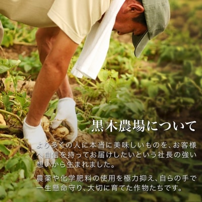 じゃがいも 3種セット【令和8年産先行受付】黒木農場 [011-61]