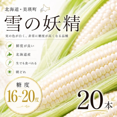 とうもろこし 雪の妖精 20本【令和8年産先行受付】北海道