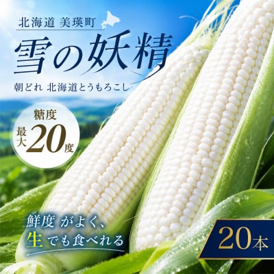 とうもろこし 雪の妖精 20本【令和9年産先行受付】北海道