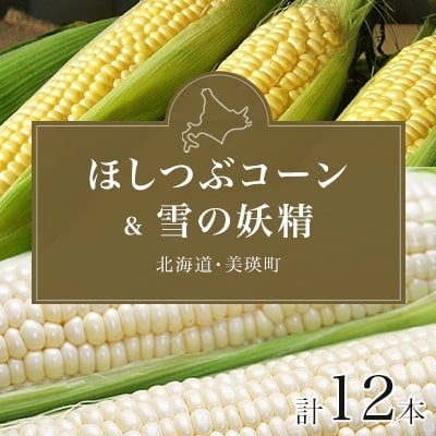 とうもろこし ほしつぶコーン&雪の妖精)各6本 計12本【令和8年産先行受付!】黒木農場　