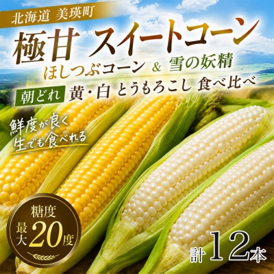 とうもろこし (ほしつぶコーン&雪の妖精) 各6本 計12本【令和9年産先行受付】北海道 黒木農場