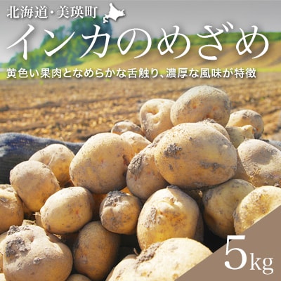 【令和7年産先行受付!】黒木農場 じゃがいも(インカのめざめ)5kg[013-62]