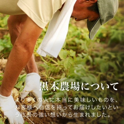【令和7年産先行受付!】黒木農場 じゃがいも(インカのめざめ)5kg[013-62]